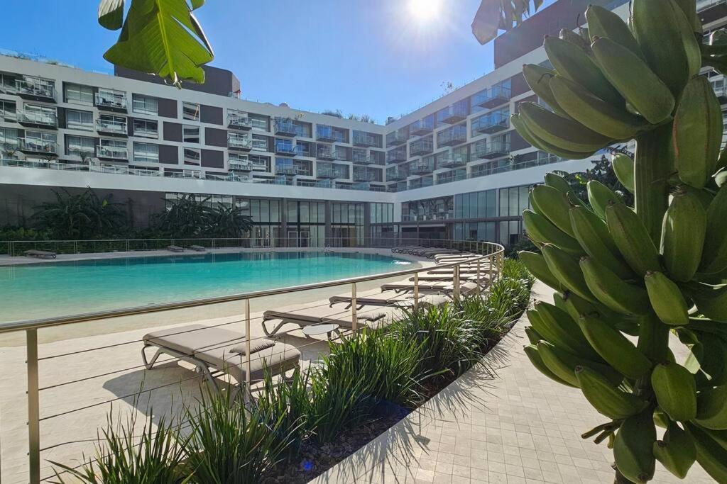 Apartment Loft Premium En Concepcion Live Piscina